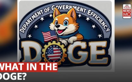 Was Doge Just a Distraction? The Hidden Agenda Behind a Massive Financial Maneuver