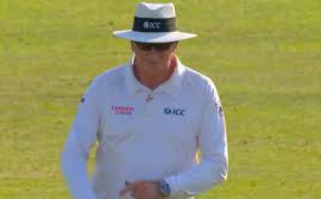 Unfair Play? Unmasking Racism in Cricket Umpiring Decisions